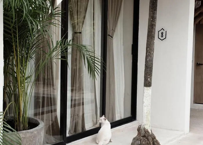 Tuup 3* Tulum